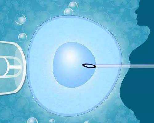 试管捐卵贴吧_供卵试管医院,试管取卵全麻多少钱,做试管取卵多少钱