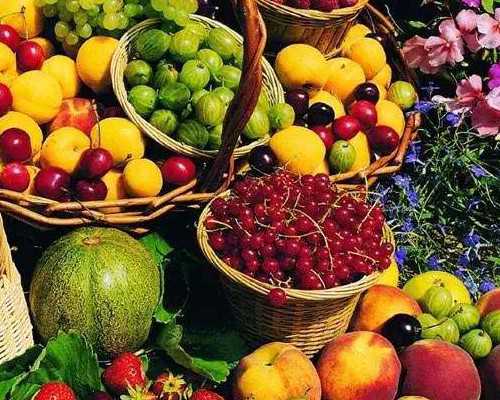 孕育新生命：备孕首月成功经验分享与身体调理秘诀